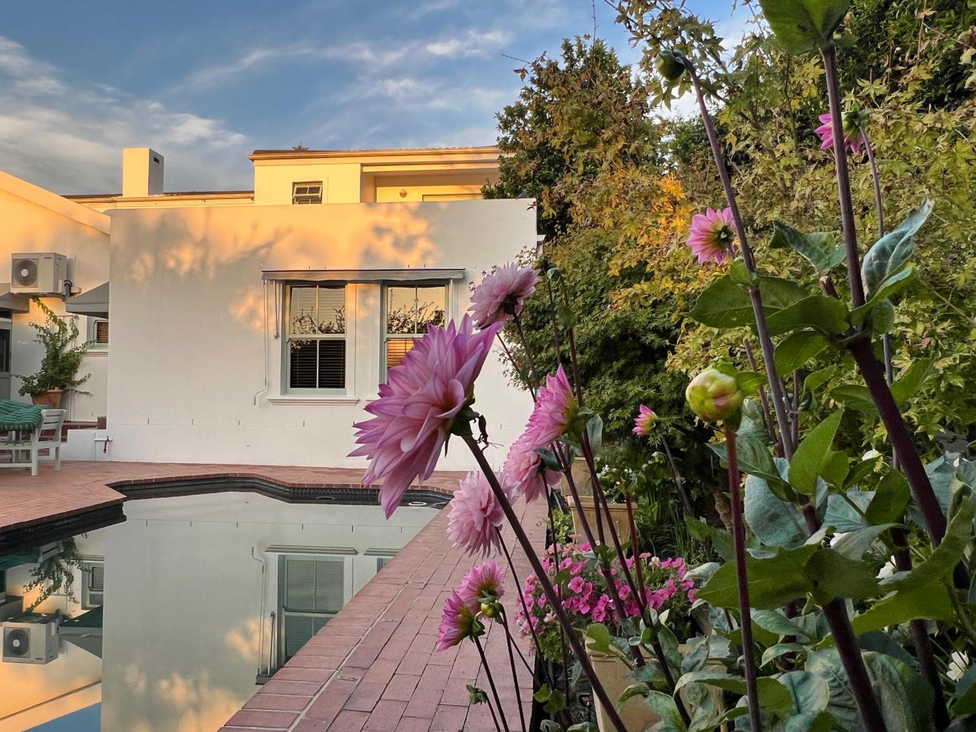 Penelope'S Stellenbosch Bed & Breakfast Dış mekan fotoğraf
